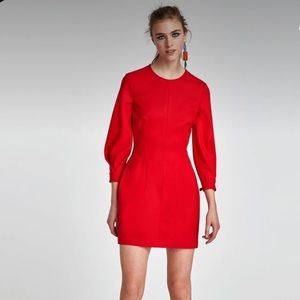 Zara Tulip Dress with 3/4 Sleeves Size Medium